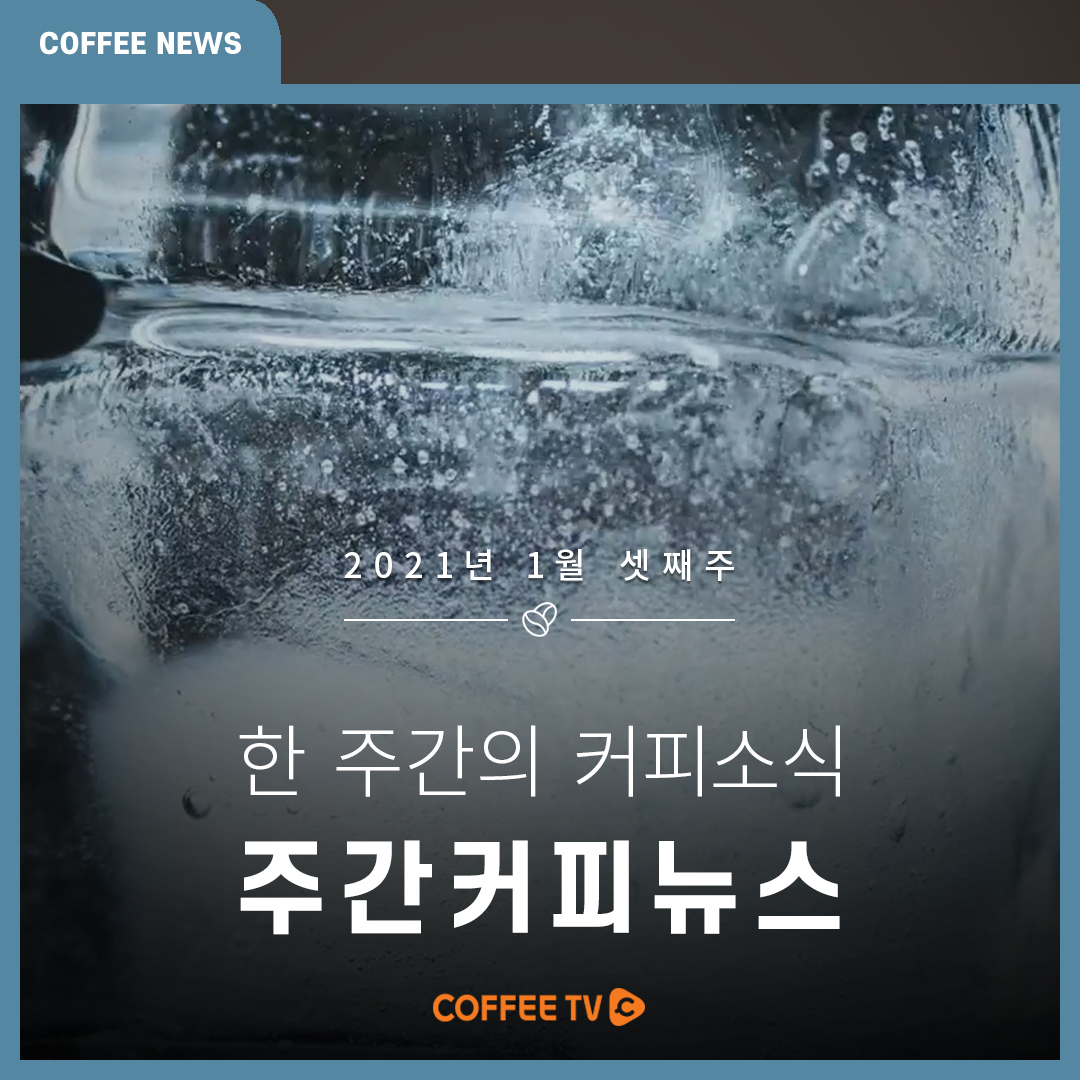 ☕ 1월 3주차 주간 커피 뉴스를 전합니다. ☕