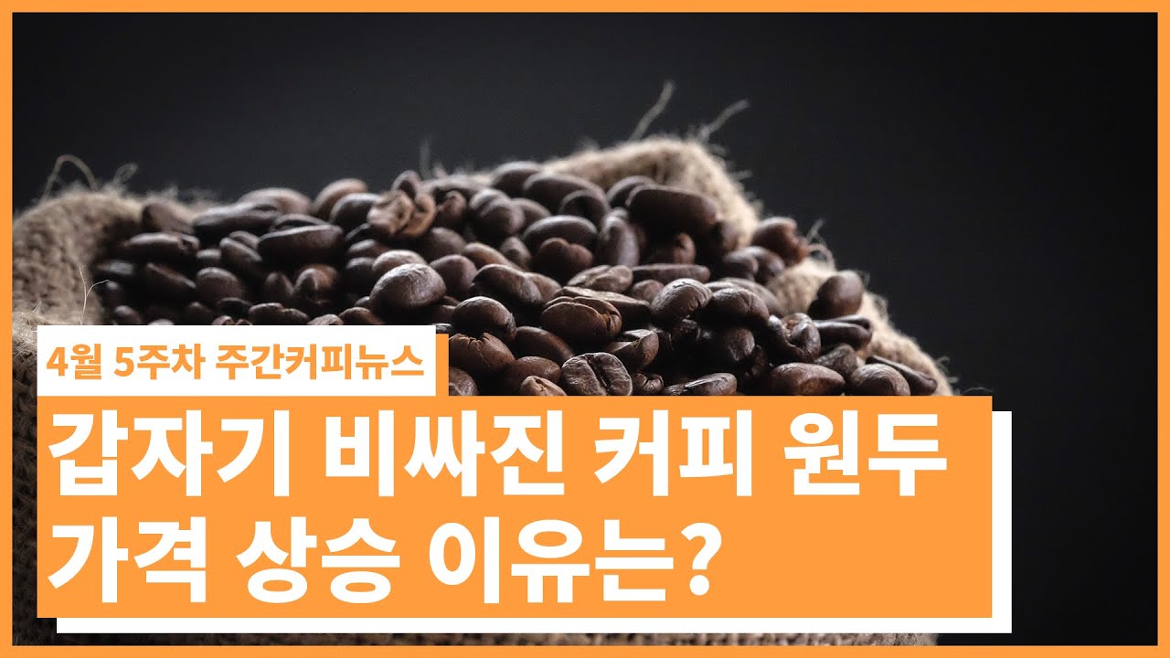 원두 가격이 오르는 이유 / 4월 5주차 주간커피뉴스, 커피TV