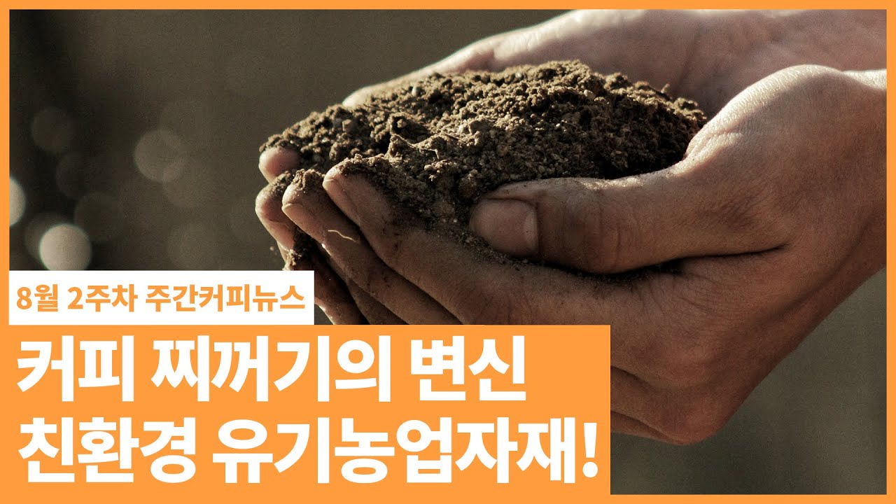 커피 찌꺼기의 변신!! / 8월 2주 주간커피뉴스, 커피TV