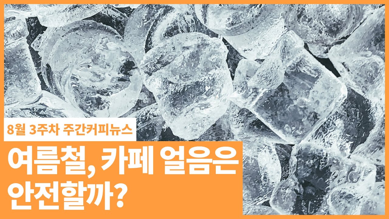여름철, 카페 얼음 단속!! / 8월 3주 주간커피뉴스, 커피TV