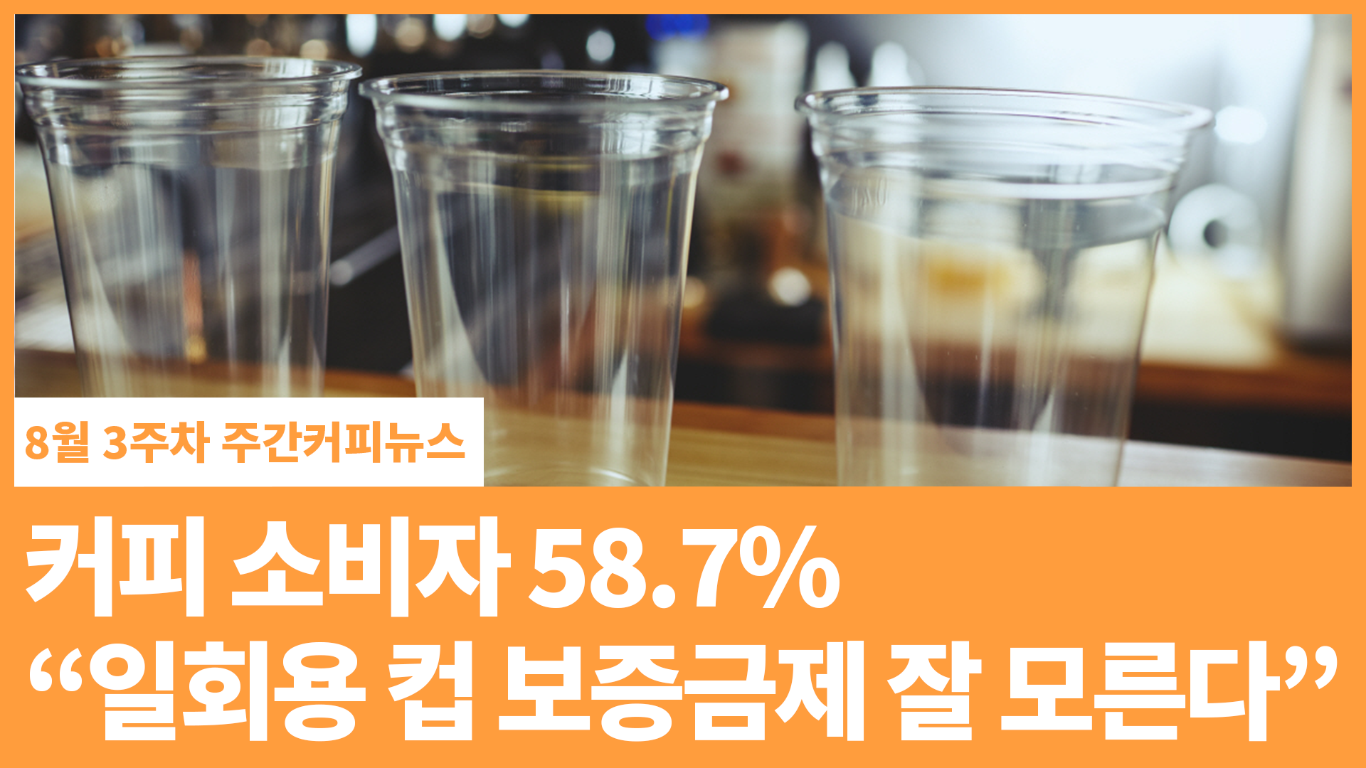 커피 소비자 58.7% “일회용컵 보증금제 잘 모른다” | 8월 3주차 주간커피뉴스