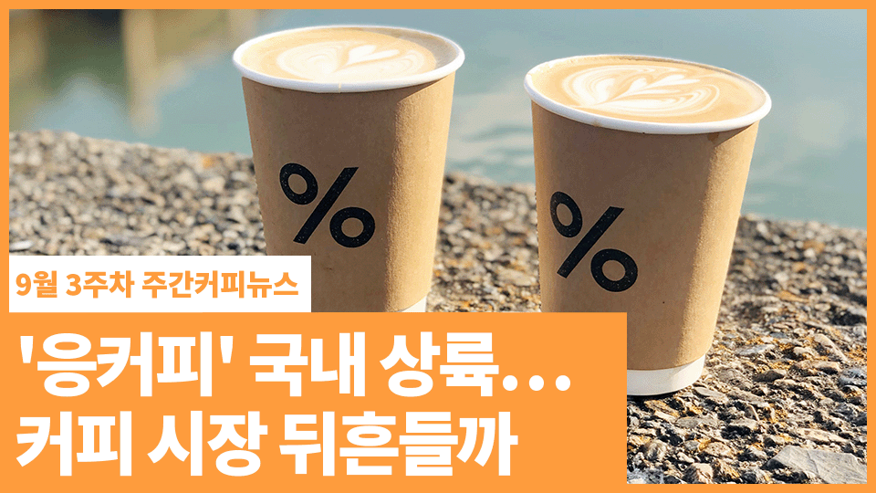 '응커피' 국내 상륙…커피 시장 뒤흔들까 | 9월 3주차 주간커피뉴스