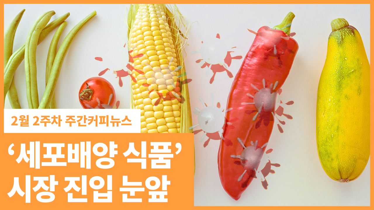 ‘세포배양 식품’ 시장 진입 눈앞 | 2월 2주차 주간커피뉴스