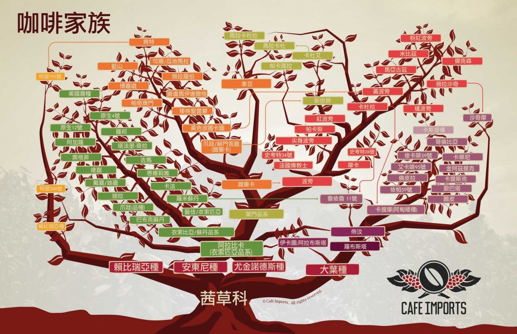 Mandarin_coffee_family_tree