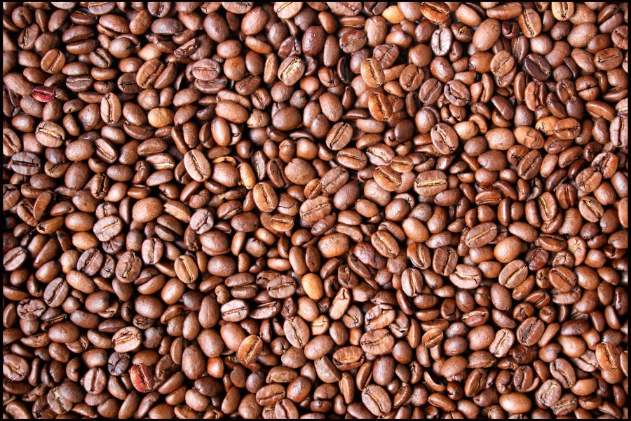CNXT4J roasted coffee beans