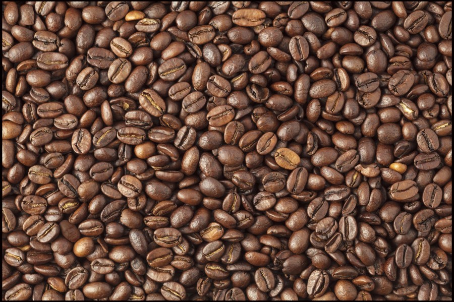 Mandatory Credit: Photo by Image Broker/REX (3726781a) Coffee beans VARIOUS
