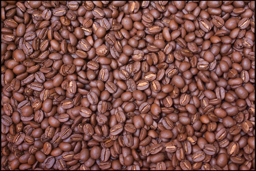 B66J19 Coffee beans at Victrola Coffee Roasters, Seattle, Washington