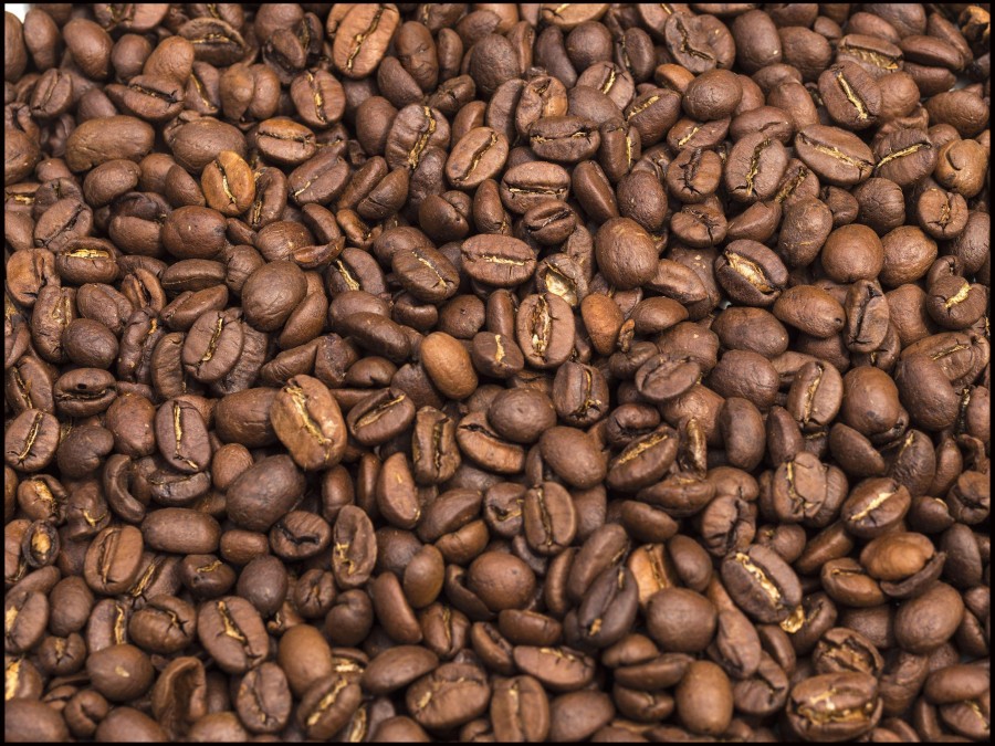 Mandatory Credit: Photo by David Muscroft/REX (4222819f) Coffee beans Various, Britain