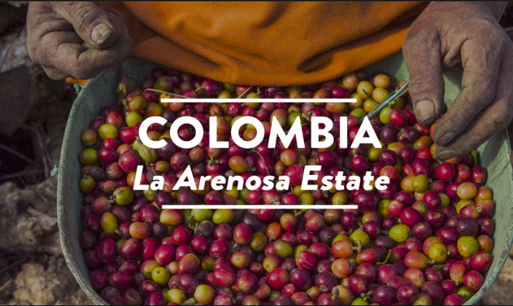 콜롬비아, 어떻게 스페셜티 커피 강국이 됐나