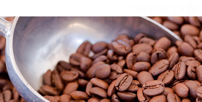 ‘신선한 커피’에 대한 도전적인 생각?